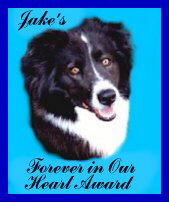 Jake's Page